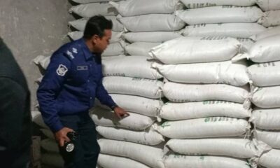 জেনেক্স ইনফোসিস