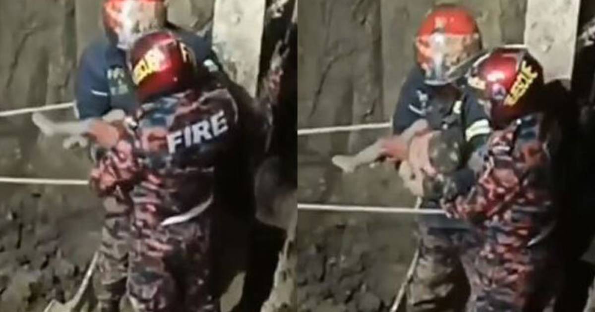 গ্লোবাল হেভি