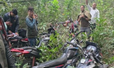 গোল্ডেন সন