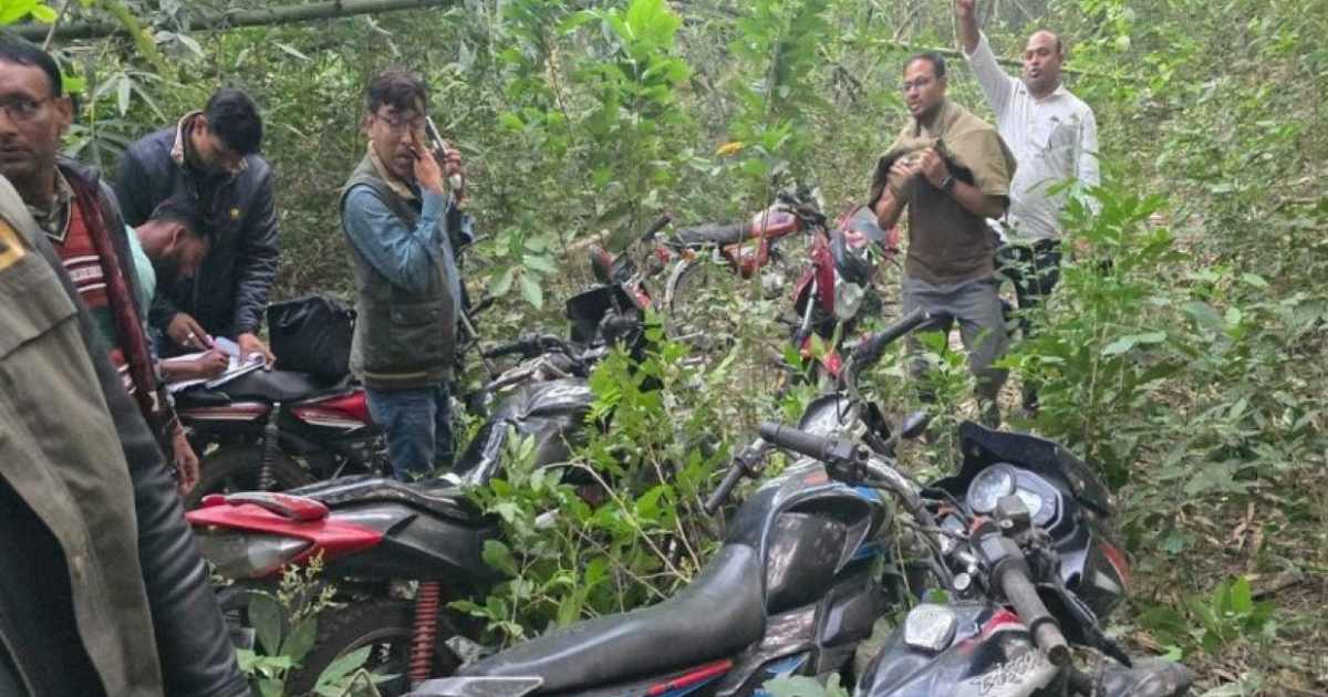 গোল্ডেন সন