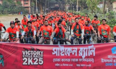 জেনেক্স