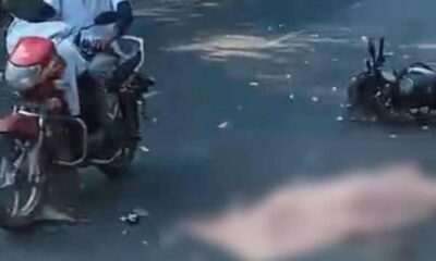 জেনেক্স