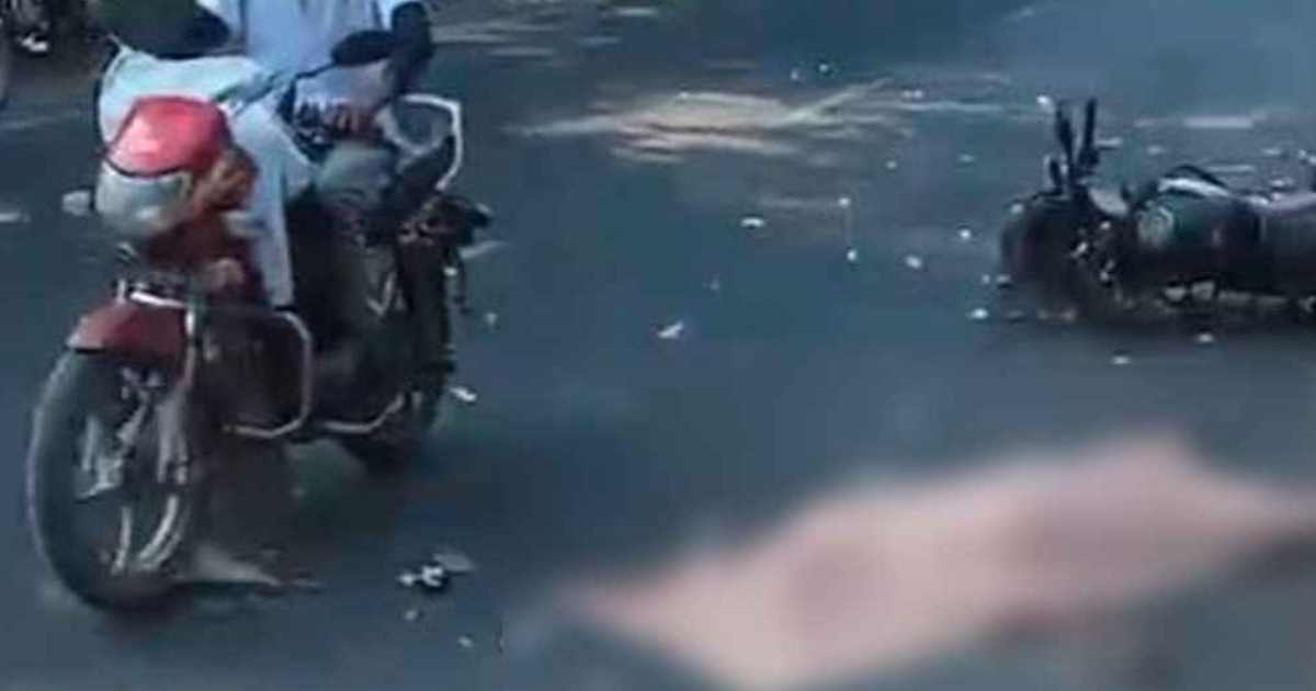 জেনেক্স