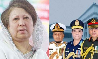 প্রভিশন