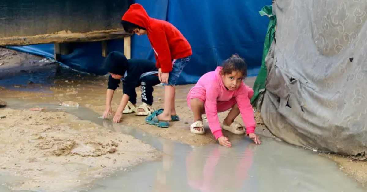 বিএসইসি