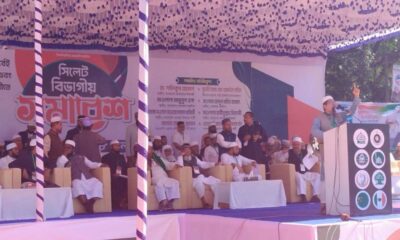 সাপ্তাহিক