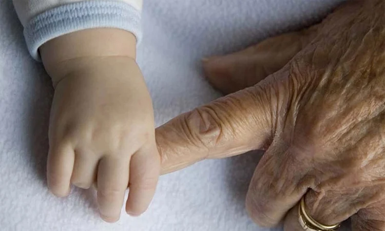 সাপ্তাহিক