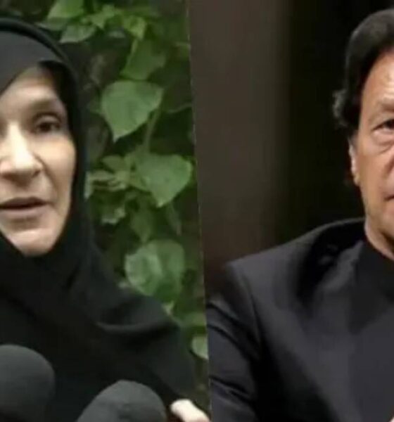 প্রভিশন