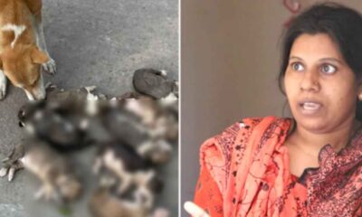 প্রভিশন