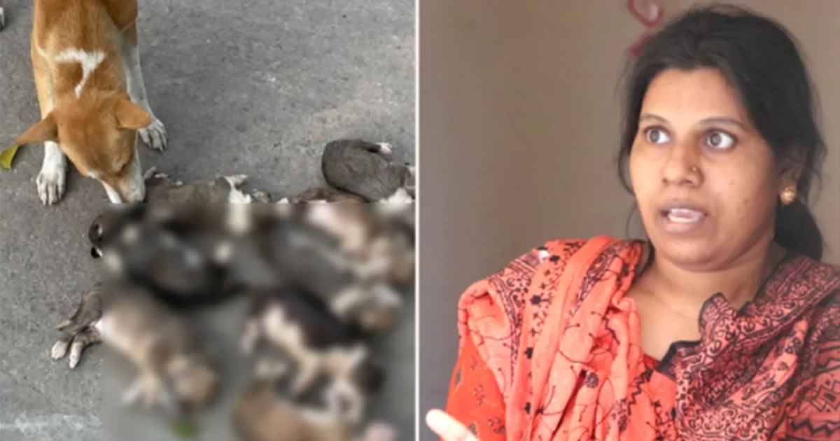 প্রভিশন