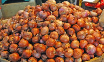 সাপ্তাহিক