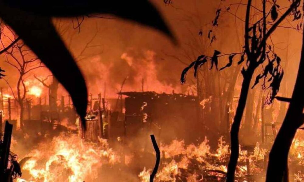 বিএসইসি