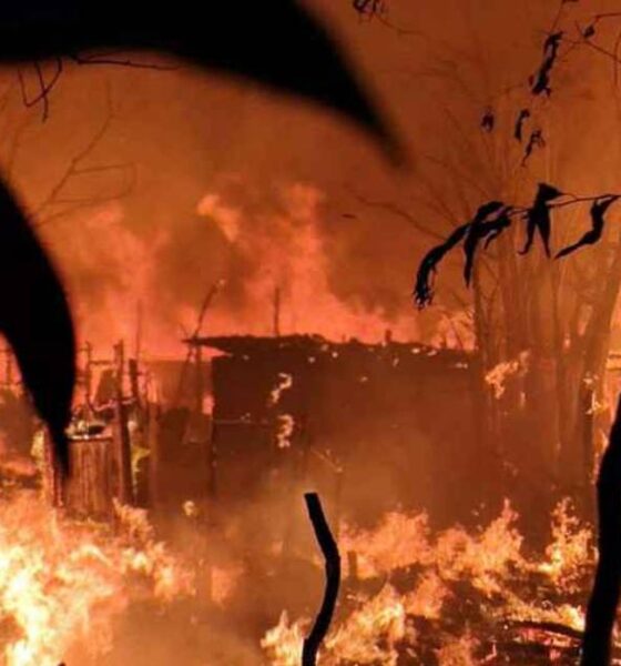 বিএসইসি