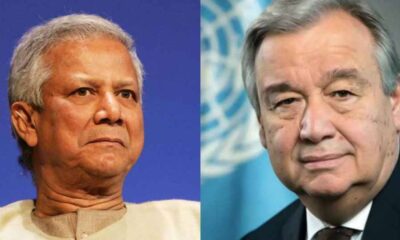 লভ্যাংশ