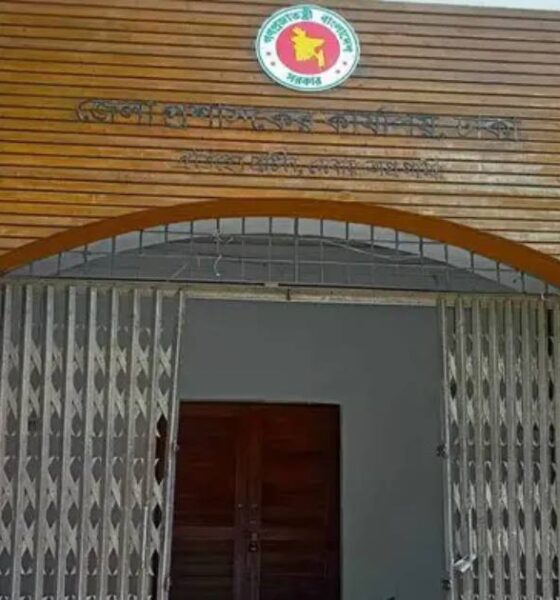 ওয়াইম্যাক্স ইলেকট্রোড