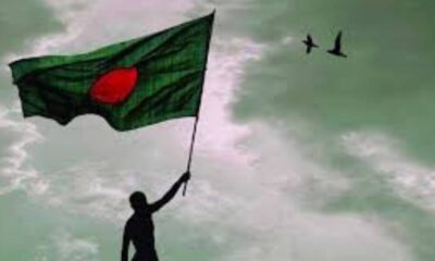 জেনেক্স