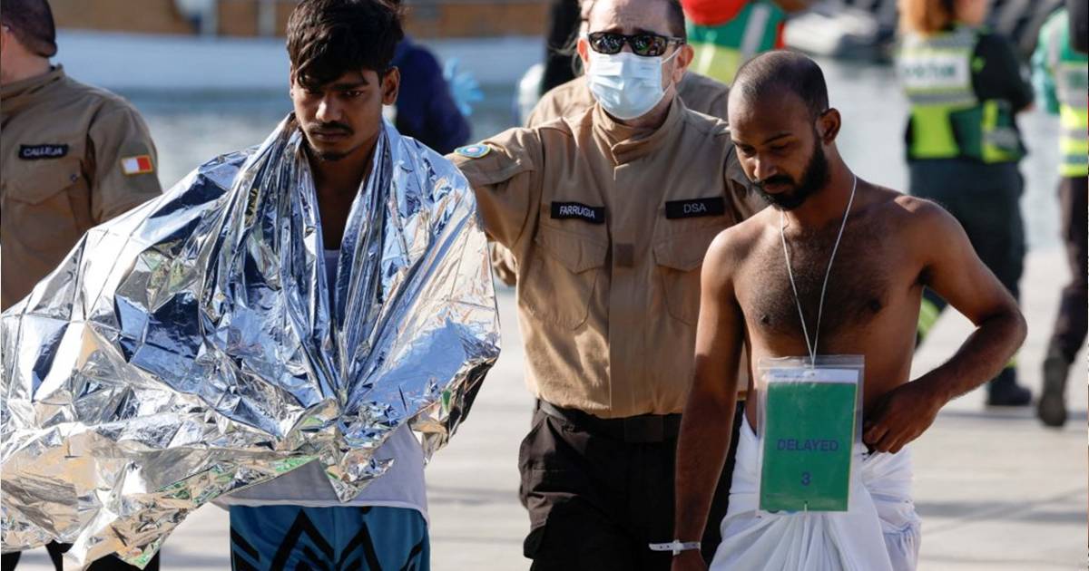 জেনেক্স