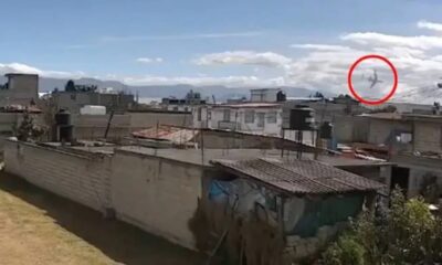 জেনেক্স