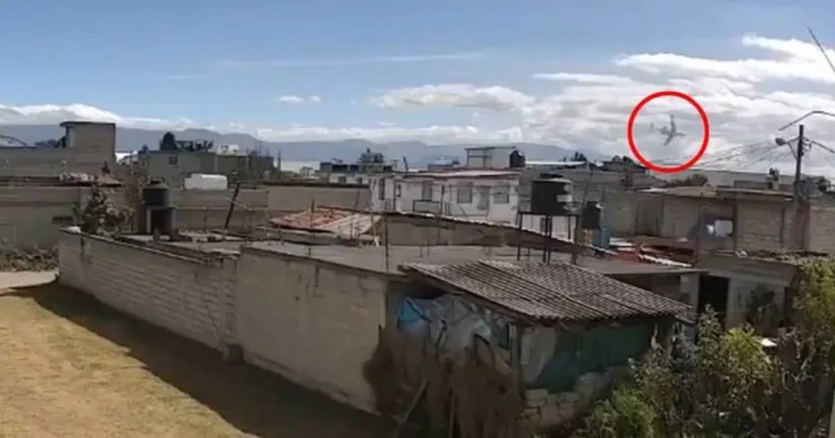 জেনেক্স