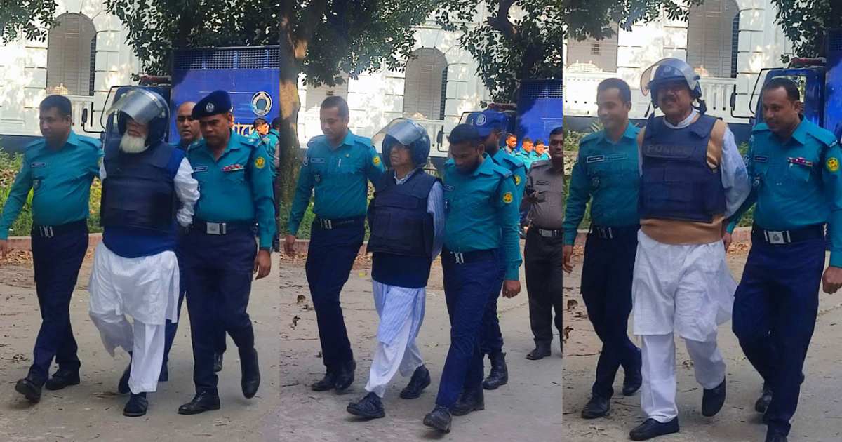 লিবরা ইনফিউশন