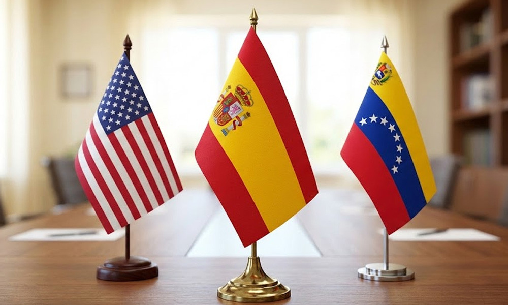 জেড ক্যাটাগরি