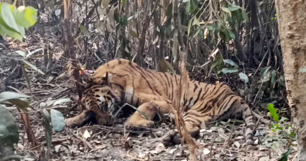 ক্রেডিট রেটিং