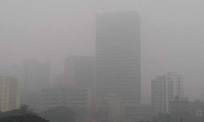 সিএমজেএফ