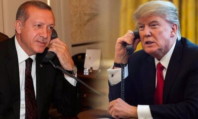 সিএমজেএফ