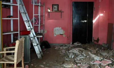 সিএমজেএফ