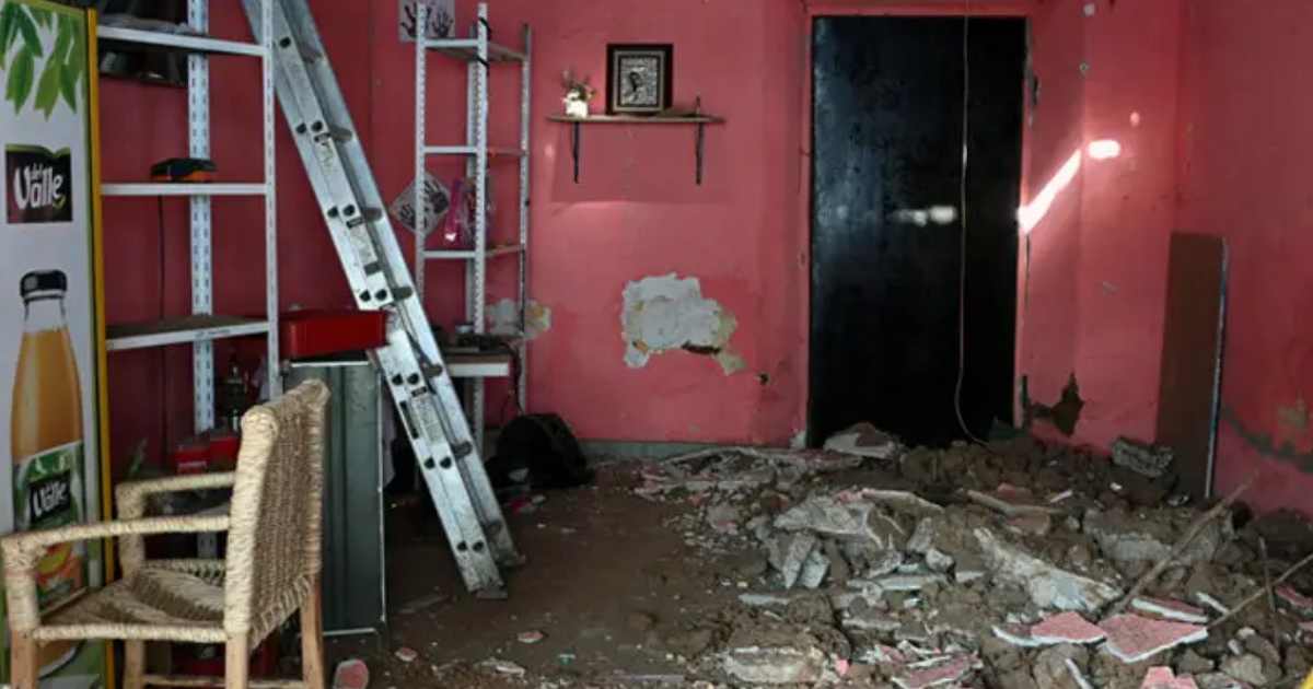 সিএমজেএফ