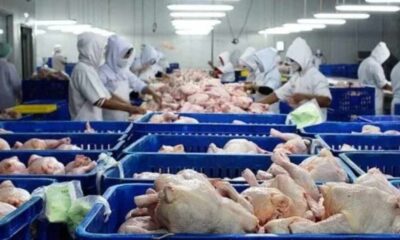 পাঁচ ব্যাংক