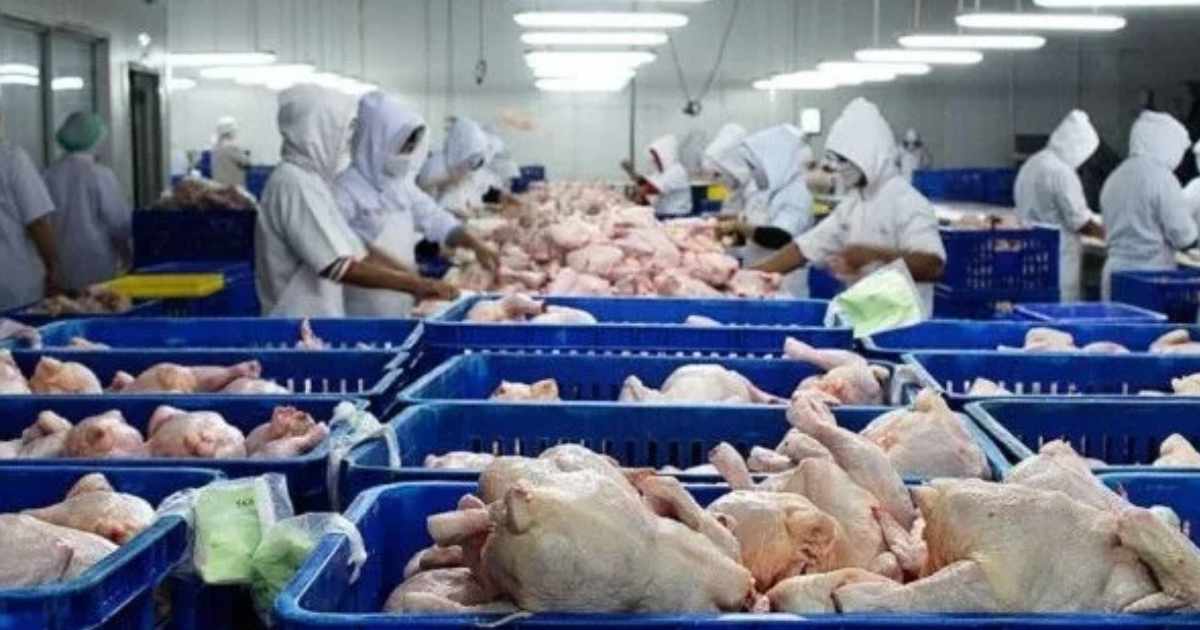 পাঁচ ব্যাংক