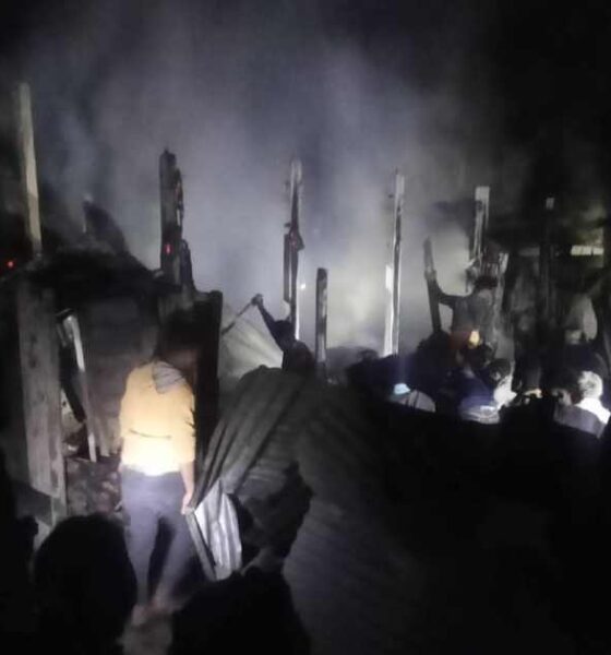 ওয়ালটনে