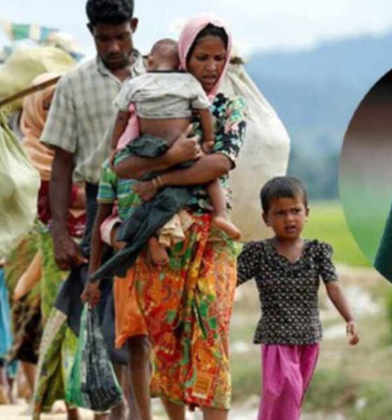 সাপ্তাহিক