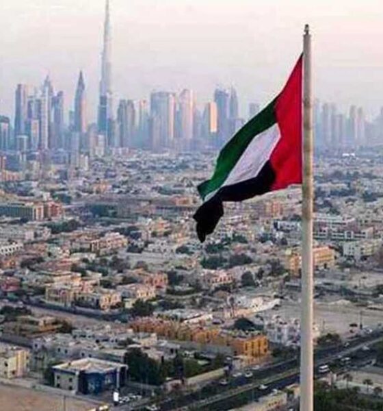 বিনিয়োগকারী