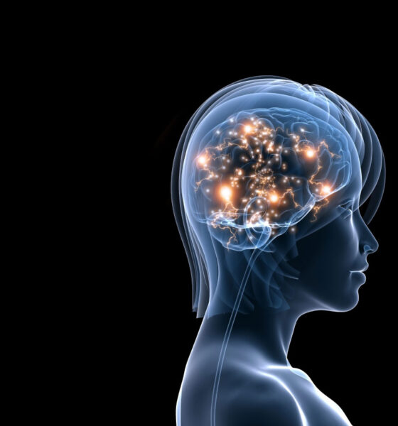 সাপ্তাহিক