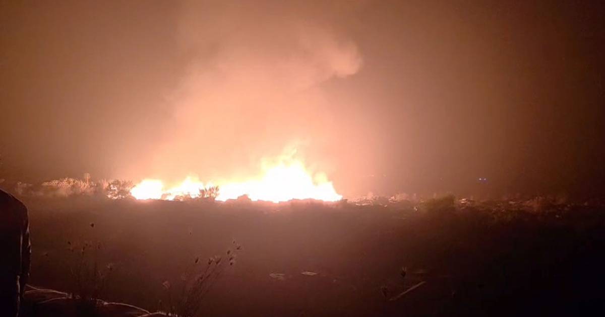 বিএসইসি