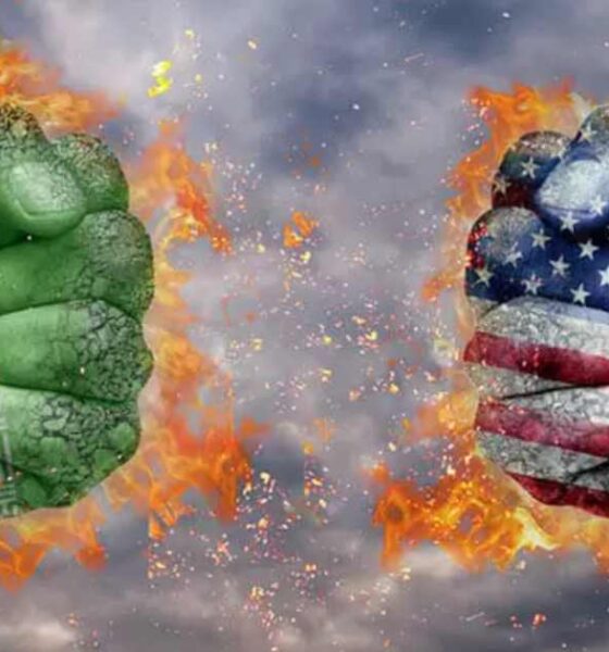 লভ্যাংশ