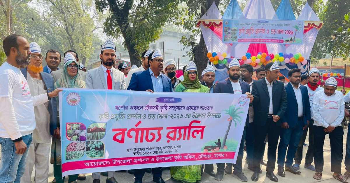 দরপতনের