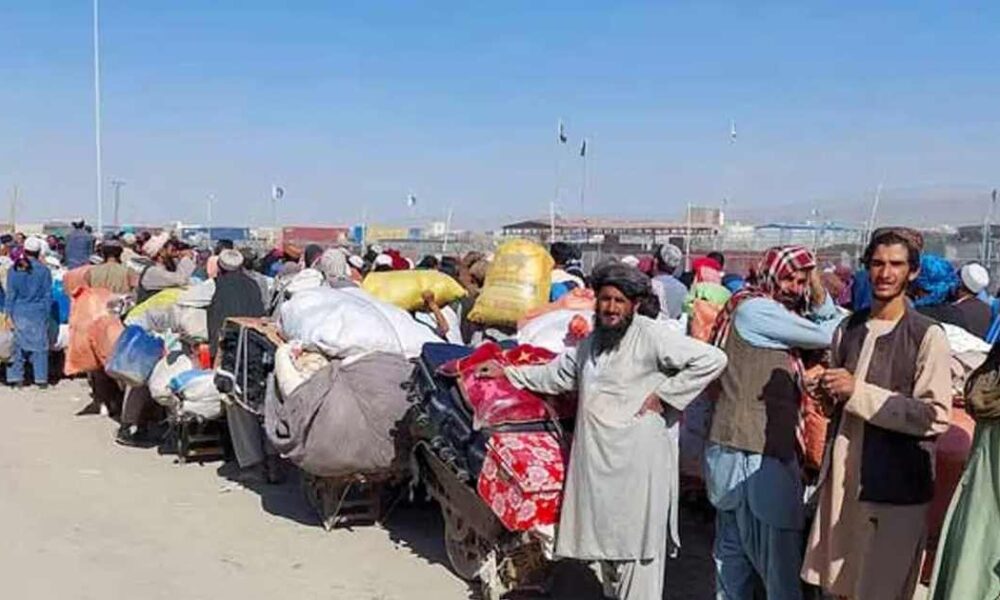 সাপ্তাহিক