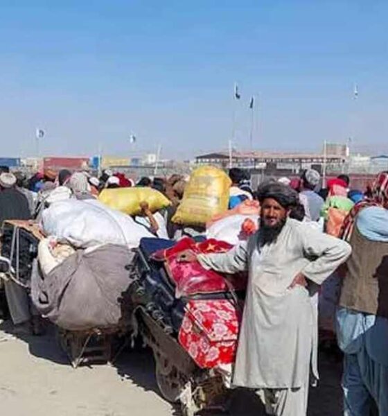 সাপ্তাহিক