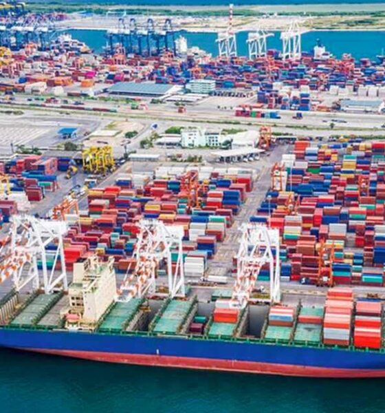 দরপতনের