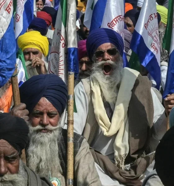 পিই রেশিও