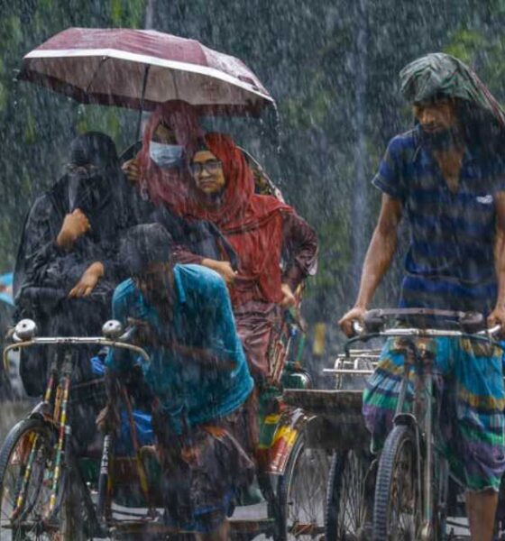 ব্লক