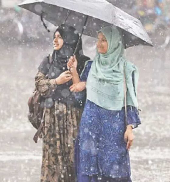 বিএসইসি