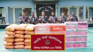 বিজিবির অভিযানে ৬৬ লাখ টাকার ভারতীয় পণ্য উদ্ধার