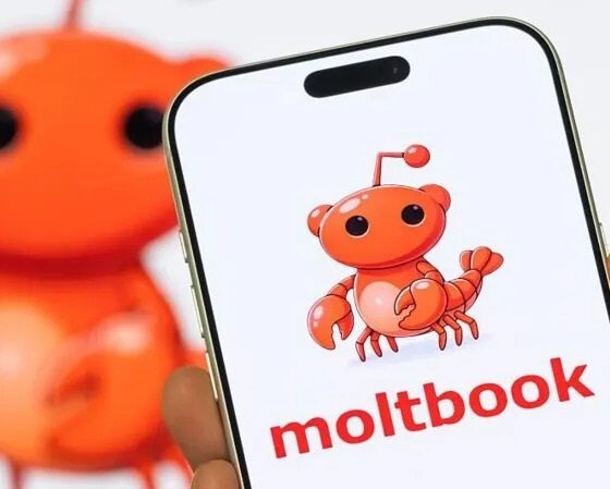 পিই রেশিও