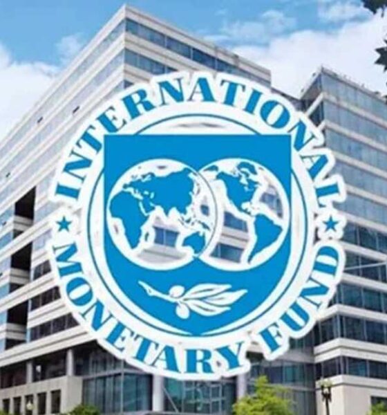 লভ্যাংশ