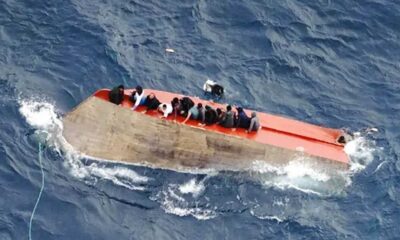 ডিভিডেন্ড