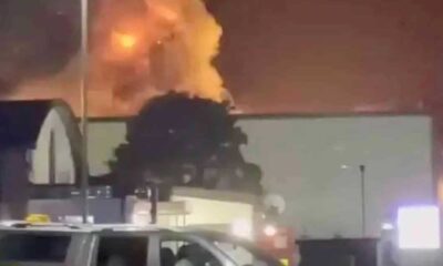 স্যালভো